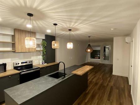 3 1/2 TOUT INCLUS - SEMI MEUBLÉ - DISPO MAINTENANT