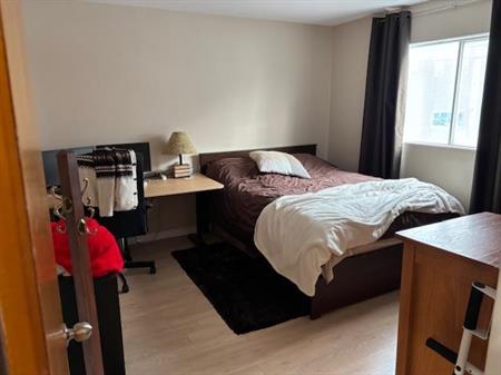 Logement à louer 5 1/2 rue Rouleau Saint-Hyacinthe près des services (hôpital, CLSC et Galeries Saint-Hyacinthe)