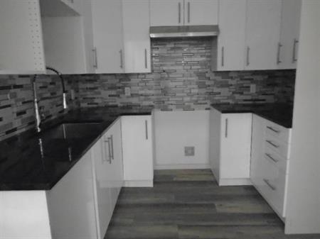 4 ½ rue Drapeau RÉNOVÉ Montréal LIBRE