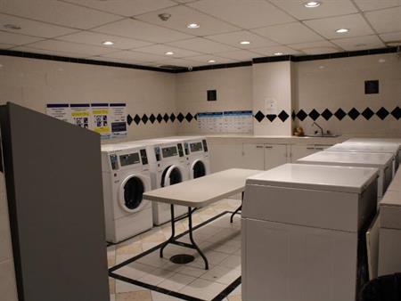 Studio - Westmount - $1,300 /mo