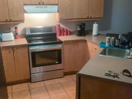 Colocataire recherché