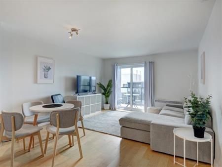 Appartement 3 ½ à louer Sainte-Foy / Sillery juillet 2026