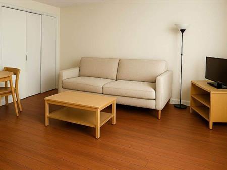 1 CH - 1 SDB - Gatineau - $1,245 /mo