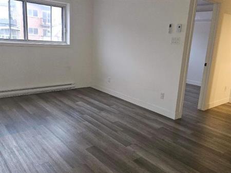 1 CH - 1 SDB - Montréal - $1,345 /mo