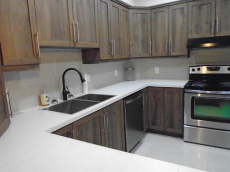 5 ½ rue Papineau 5 ÉLECTROS inclus Montréal LIBRE