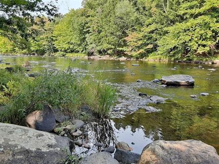 Apppartement à louer 5 1/2 Bromont