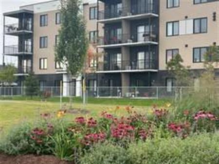 3 1/2 - Lévis - 1 200 $/mois