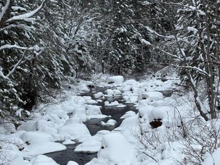 Terrain sur ruisseau St-Donat