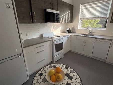 APPARTEMENT 3 1 2 RÉNOVÉ À LOUER COTE-DES-NEIGES CDN