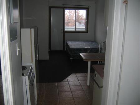 1 1/2 - Montréal (Le Plateau Mont-Royal) - 1 150 $/mois