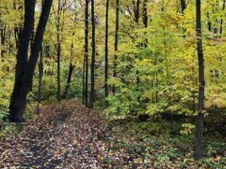 (RECHERCHE )TERRAIN À WOBURN