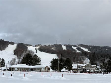Terrain 45 000 pi ca Lac Archambault(accès)