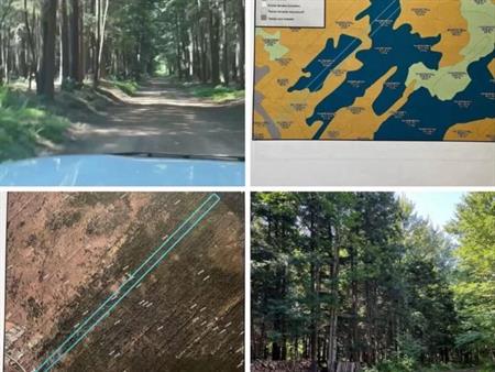 Terre à bois , chasse , près de l'autoroute 20