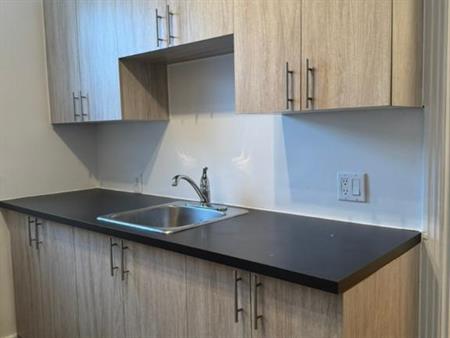 4 1/2 À LOUER, CÔTE-DES-NEIGES, DEUX CHAMBRES, LIBRE MAINTENANT