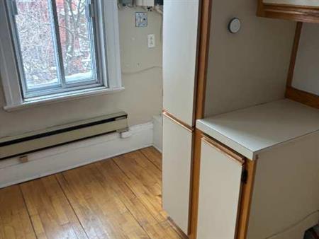 Appartement Plateau Mont Royal rue Garnier