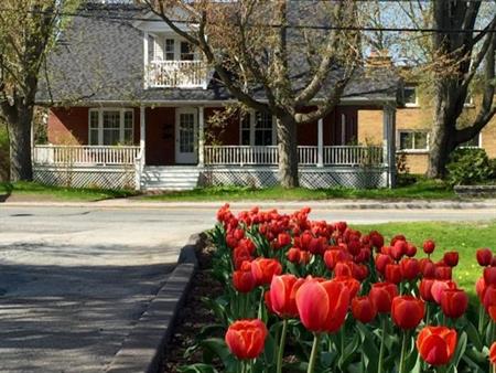 Superbe 5 ½ – Vieux Nord - Chauffage/Internet/Électro inclus