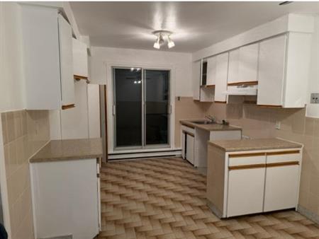 BEAU GRAND 4.5 LIBRE MAINTENANT RÉNOVÉ PEINTURÉ MONTREAL NORD