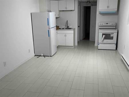 Small Basement 3 ½ in Tétreaultville – Electros inclus - 975$