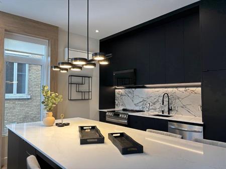 Magnifique appartement meublé au centre-ville Drummondville