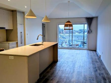 Grand 4 1/2 disponible maintenant