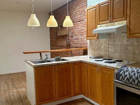 Charmant 4 1/2 au cœur du Plateau Mont-Royal