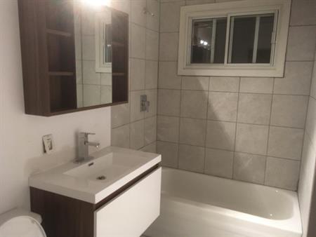 Logement 4 1/2 a louer - Libre 1 Mars