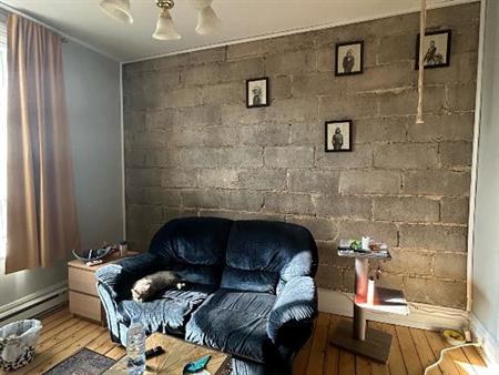 Logement à louer 41/2