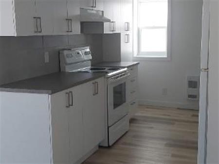 3 et demi Farnham. rénové, moderne, droit au chat, proche de tout !