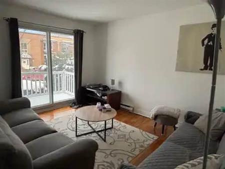 2 Chambres - 1 SDB Appartement