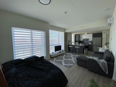 Grand studio lumineux a laval chomedey,