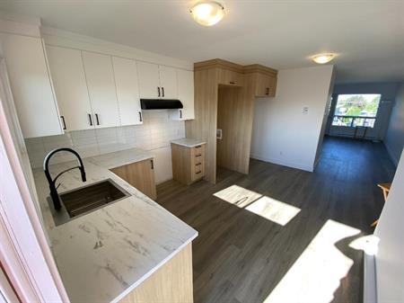 4 ½ rénové à louer – Sainte-Rose, Laval - Tranquille