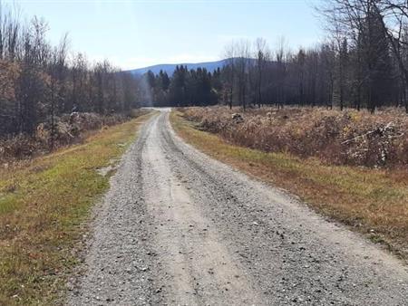 Terrain a vendre Stukely-sud,Eastman.Estrie
