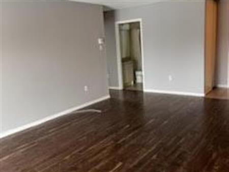 4 1/2 au rez de chaussée Propre Récemment peinturé immeuble paisible pres de rue principal des galeries et transport