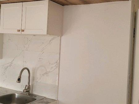 Grand 3 ½ près de l'hôpital Maisonneuve-Rosemont