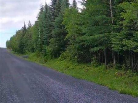 Terrain à vendre St-Benjamin, secteur Cumberland