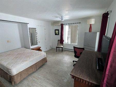 grande chambre avec un bureau