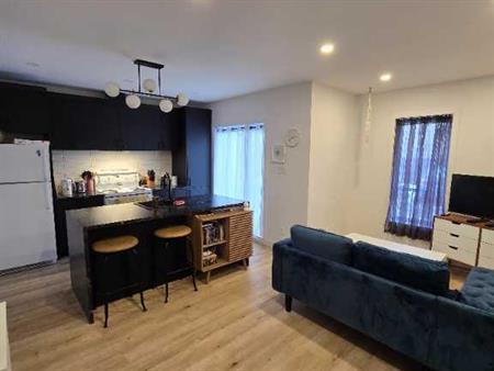 4 1/2 dans St-Sauveur cessation de bail pour janvier, CHIENS ACCEPTÉS