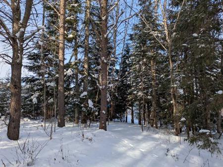 Petite terre à Ste-Perpétue de l’Islet lot zoné blanc