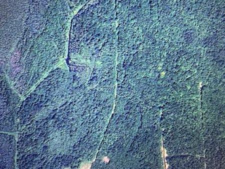 terre a bois Lefebvre