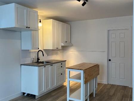 Princeville - 4 1/2 lumineux et fraîchement rénové