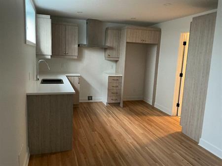 APPARTEMENT TROIS ET DEMI NEUF CONSTRUCTION RÉCENTE À LOUER!