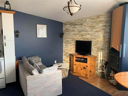 Petit 3 1/2 meublé et équipé