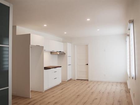 Logement a louer (loft) au centre ville