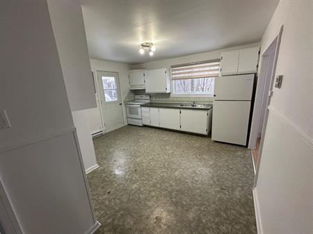 4 1/2 Rivière-Rouge, frigidaire et cuisinière inclus