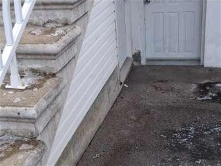 Bachelor Robidoux LaSalle