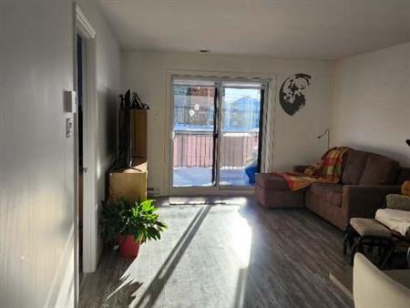 Grand 4 1/2 à louer très lumineux à St-Apollinaire. Libre le 1er mars 2026. Cessation de bail