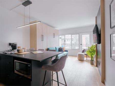 Loft entièrement meublé à louer Saint-Jean-Baptiste mars 2026