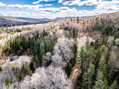Terrain boisé prêt a construire St-Alexis des Monts