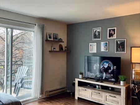 P.E. Trudeau grand 3 1/2