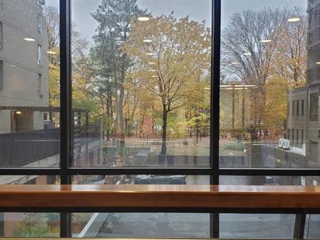 Grand 3 1/2 février ou mars Sillery Qc